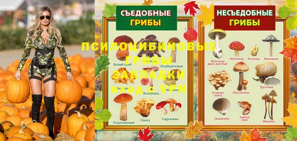 каннабис Белокуриха
