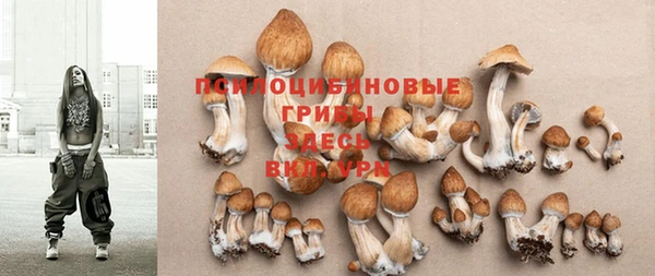 mdpv Белоозёрский
