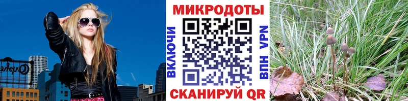купить наркотик  Кодинск  ссылка на мегу вход  Псилоцибиновые грибы мицелий 